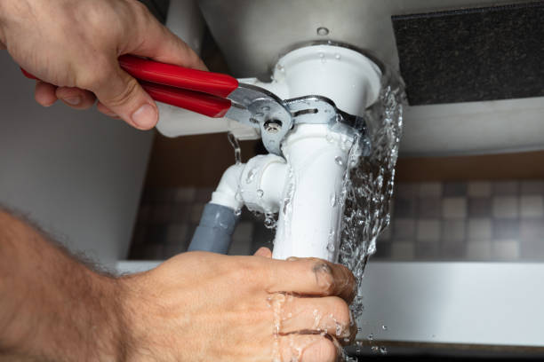 Best Water damage mitigation services  in Mason City, IL