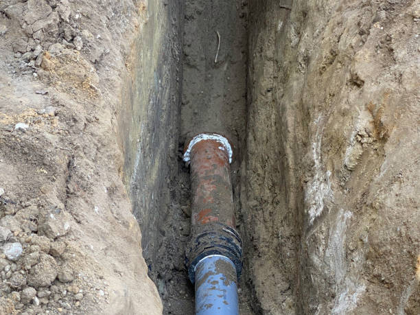 Best Flood damage cleanup  in Mason City, IL
