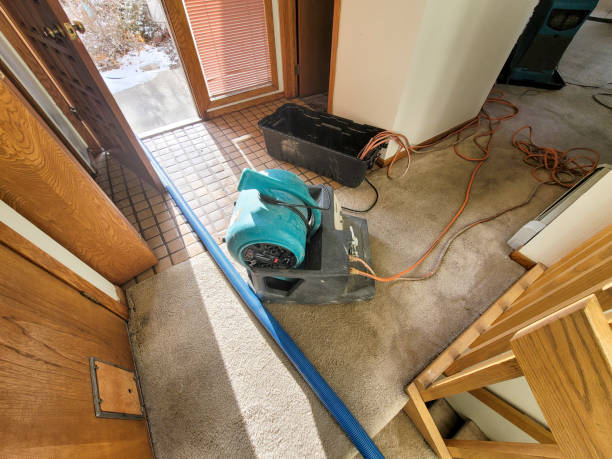 Best Professional water damage repair  in Mason City, IL