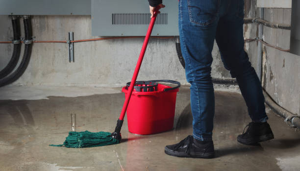 Trusted IL Water damage restoration Experts