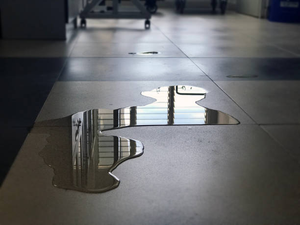Best Professional water damage repair  in Mason City, IL