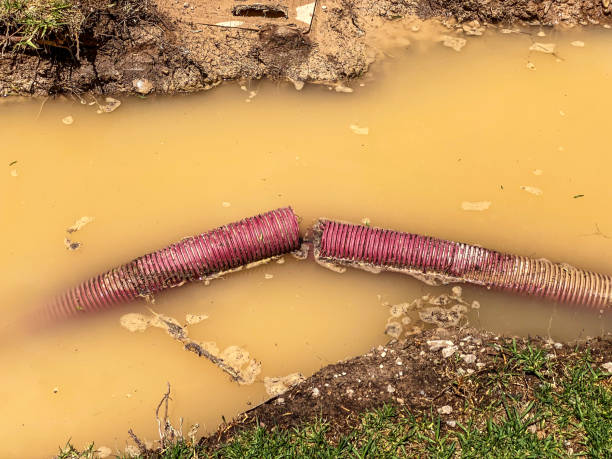 Best Water damage restoration near me  in Mason City, IL