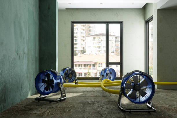 Best Local water damage restoration  in Mason City, IL